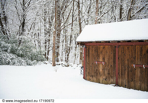 Fresh winter snowfall in a New England backyard
