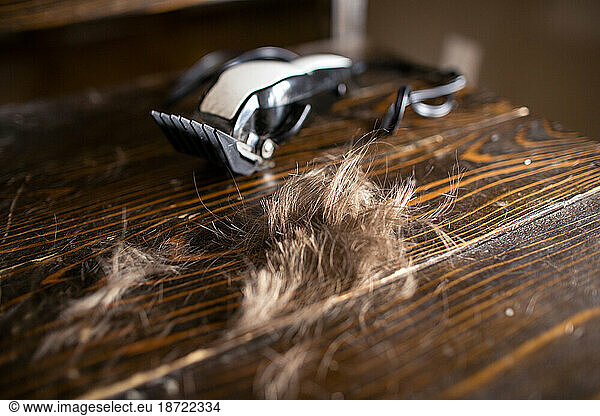Freshly cut hair pile on chair with clippers in background
