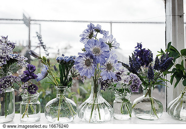 freshly picked flowers in vases on a window sill in summer