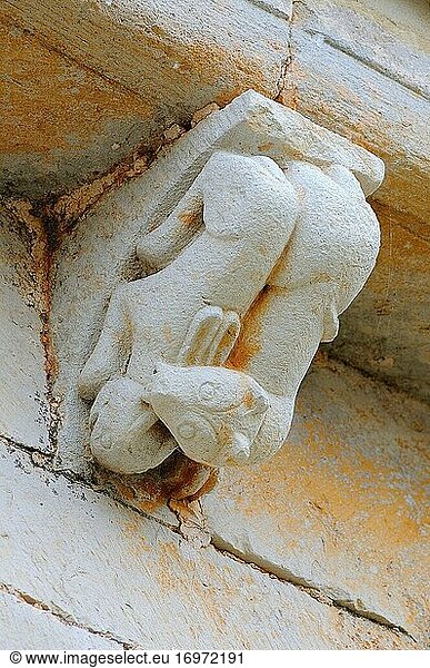 Frettchen auf der Jagd nach einem Kaninchen  Skulptur der romanischen Kirche Nuestra Se?ora de la Asunci?n. Pis?n de Castrej?n. Provinz Palencia. Kastilien und Le?n. Spanien
