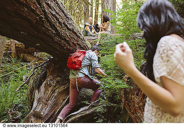 Freunde genießen im Wald