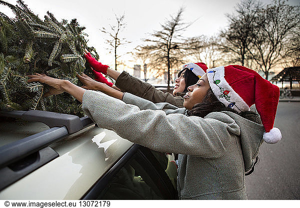 Freunde stellen Weihnachtsbaum auf Autodach