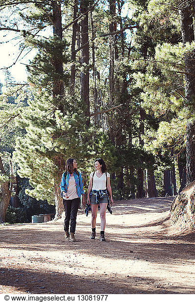 Freundinnen beim Waldspaziergang im Gespräch