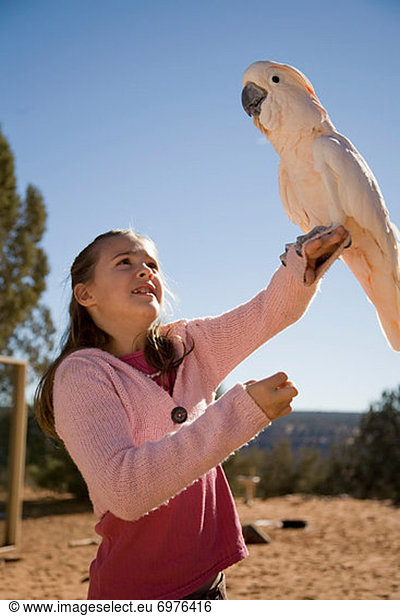 Freundschaft  halten  Tier  Erfolg  Heiligtum  Mädchen  Kakadu  Utah