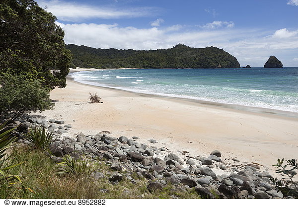 Freundschaft  Strand  Pazifischer Ozean  Pazifik  Stiller Ozean  Großer Ozean  neuseeländische Nordinsel  Bucht  neu  Neuseeland