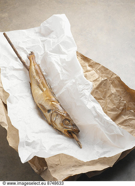Fried mackerel pike fish on stick  in paper wrapper  studio shot