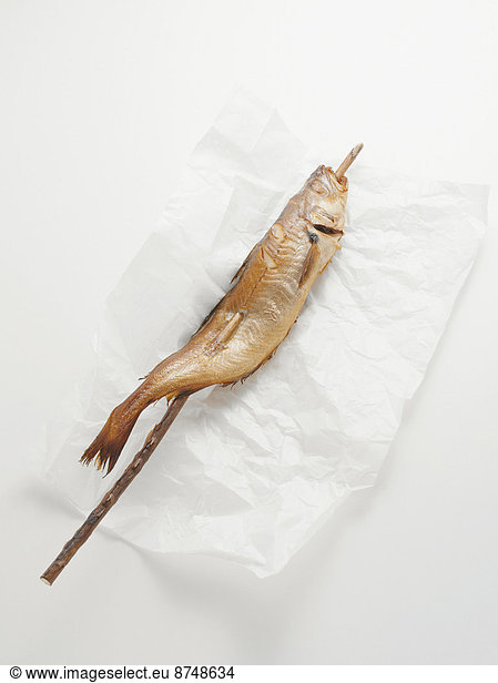 Fried mackerel pike fish on stick  on paper wrapper  studio shot
