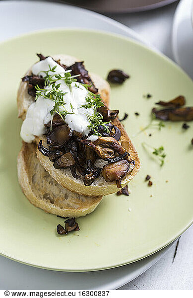 Fried wild mushrooms on roasted ciabatta with sour cream and cress  studio shot