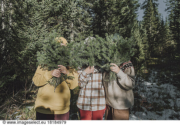 Friends covering faces with spruce tree twigs in forest