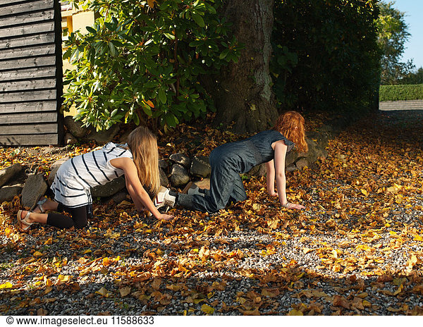 Friends crawling on autumn leaves