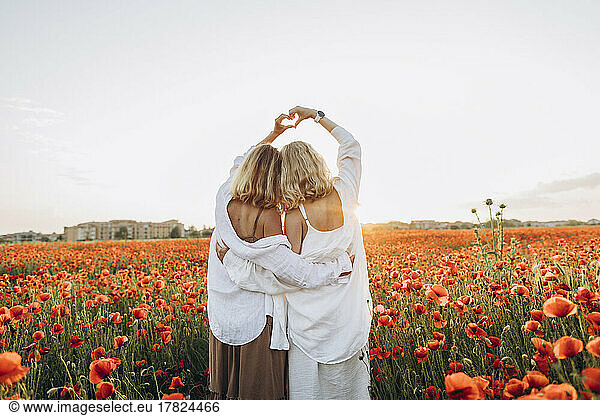 Friends making heart shape with hand in poppy field