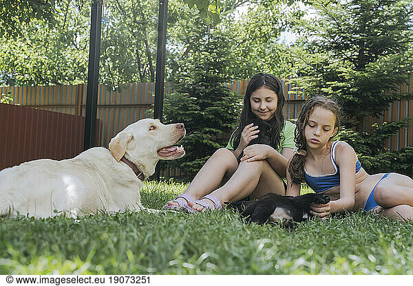 Friends spending leisure time with dogs on grass in back yard