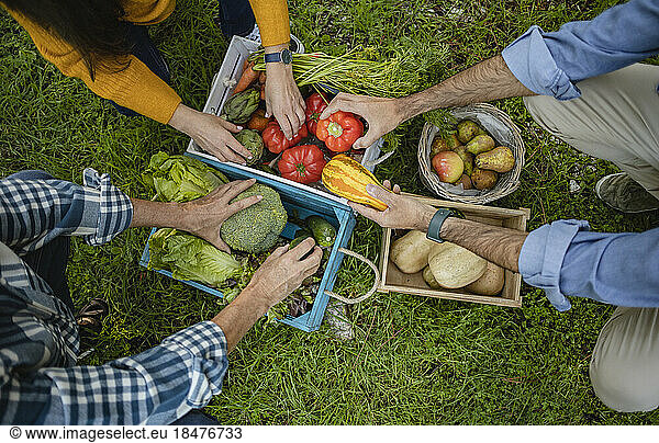 Friends taking vegetables from crate