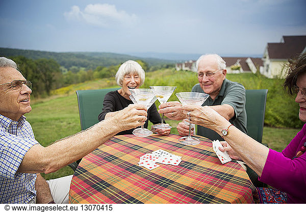 Friends toasting martini glass while sitting at table in lawn