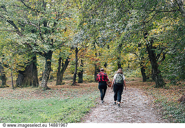 Friends walking in countryside  Rezzago  Lombardy  Italy