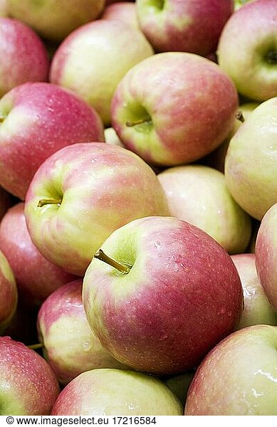 Frische Apfelernte aus Südtirol