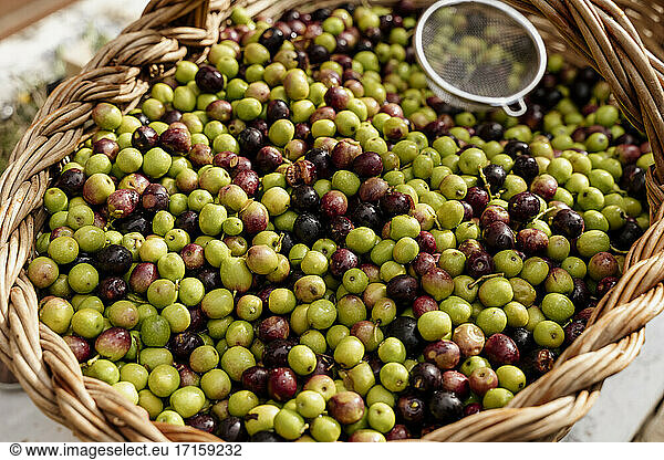 Frische Oliven mit Sieb im Korb