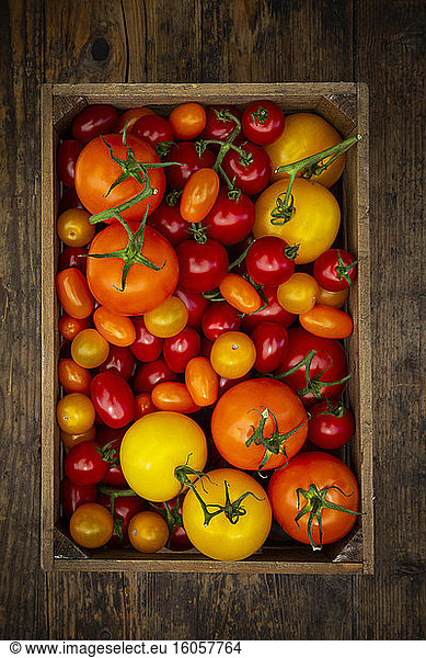 Frische Tomaten in Holzkiste