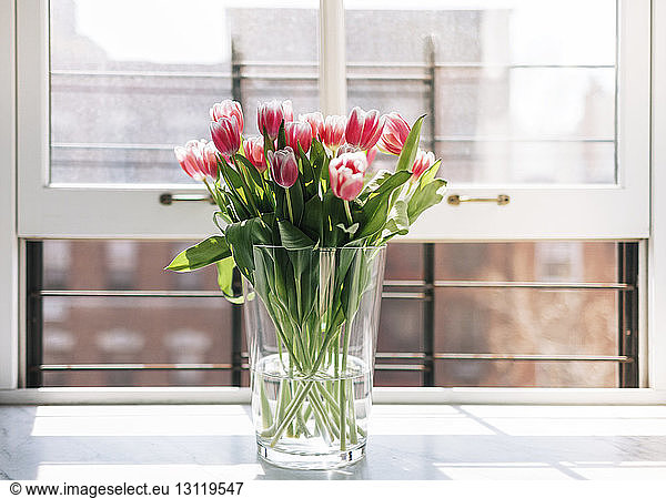 Frische Tulpen in Vase am Fenster
