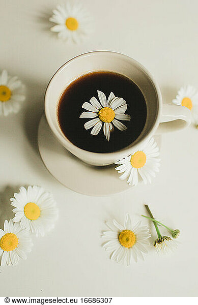 frischer Morgenkaffee mit Gänseblümchen