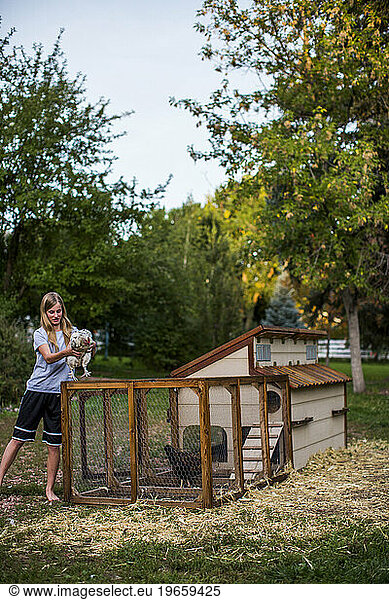 From small  homemade structures to large  elaborate homes  chicken coops are growing in popularity in the country.