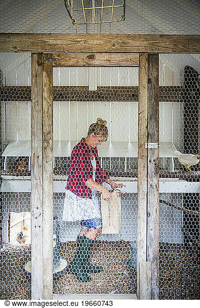 From small  homemade structures to large  elaborate homes  chicken coops are growing in popularity in the country.