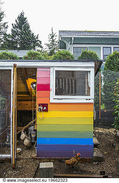 From small  homemade structures to large  elaborate homes  chicken coops are growing in popularity in the country.