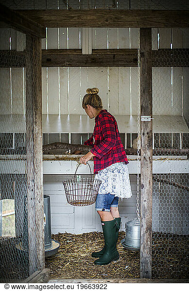 From small  homemade structures to large  elaborate homes  chicken coops are growing in popularity in the country.