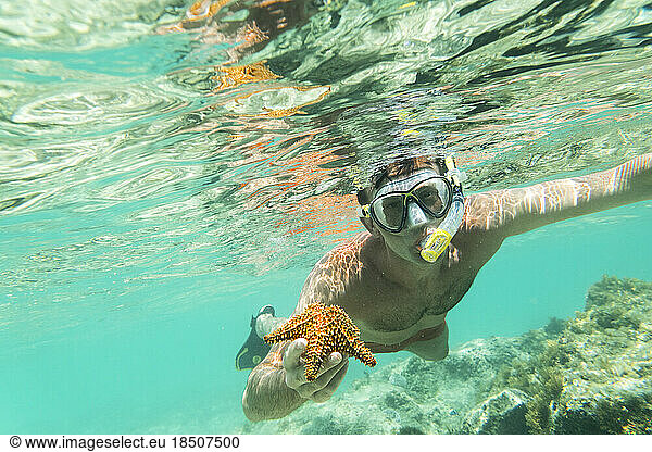 Front view of man snorkelling with starfish in hands  Caribbean Sea