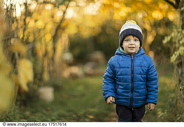 Front view of small boy in garden during autumn in blue jacket