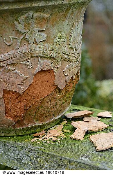 Frost damage to decorative terracotta pot  Norfolk  England  United Kingdom  Europe