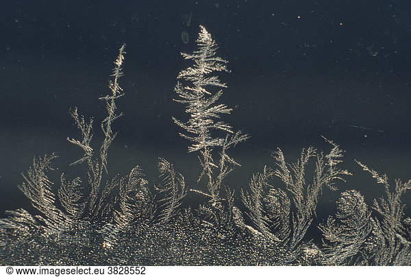 Frost flowers at window
