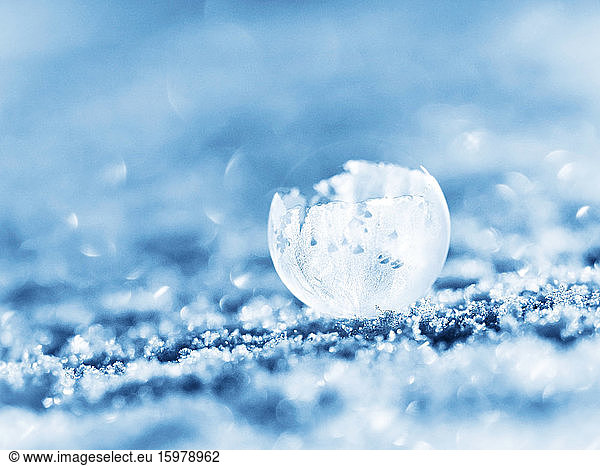 Frosted bubble in winter