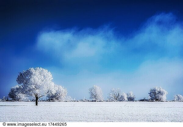 frosty snow covered winter landscape