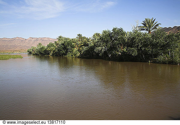 Fruchtbares Tal  Dattelpalmen und Ackerland  Draa-Tal  Marokko  Nordafrika