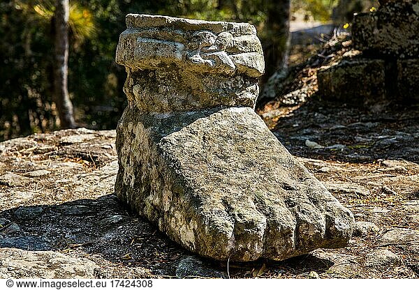 Fuß  Steinskulptur  Mayastätte  Copan  Honduras  Mittelamerika