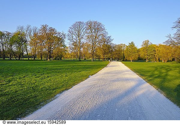 Fußweg im menschenleeren Englischen Garten  Ausgangssperre  München  Oberbayern  Bayern  Deutschland  Europa
