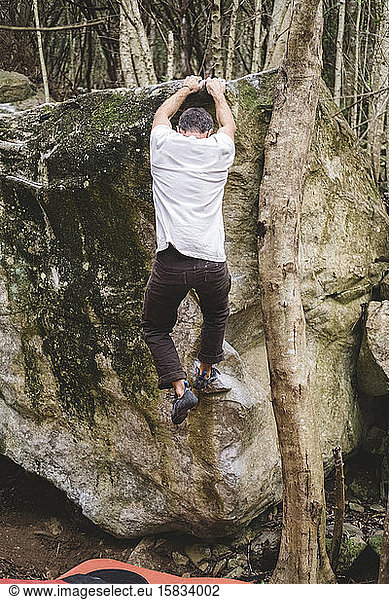 Full body of a male rock climber climbing a rock in a forest