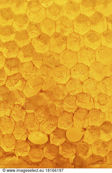 Full frame close-up of honeycomb