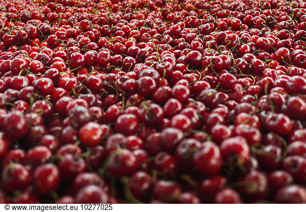 Full frame shot of fresh cherries