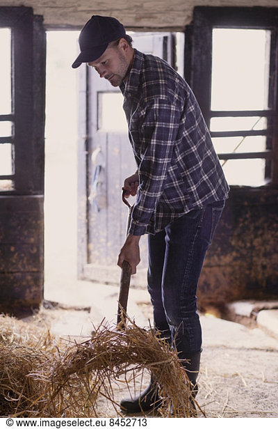 Full length of farmer shoveling hay in barn