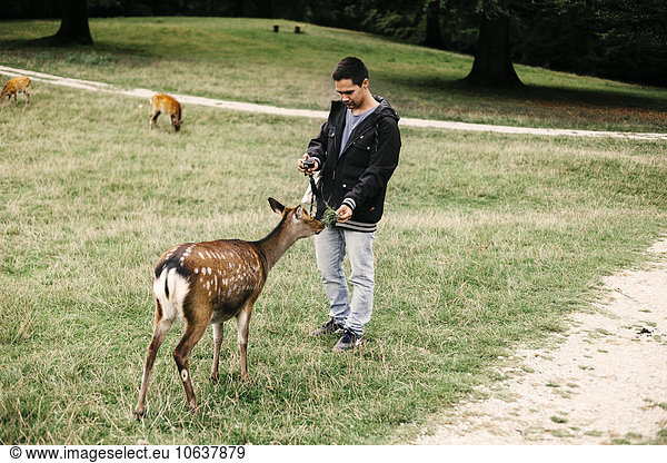 Full length of man feeding deer at national park