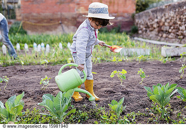 Full length of preschool girl holding shovel while watering seedlings at orchard