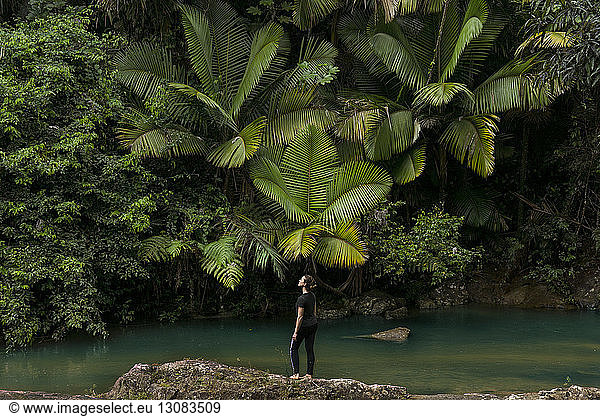 Full length of woman standing on rocks at lakeshore against tree in El Yunque National Forest