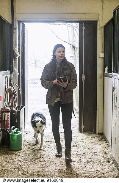 Full length of young woman using digital tablet in horse stable