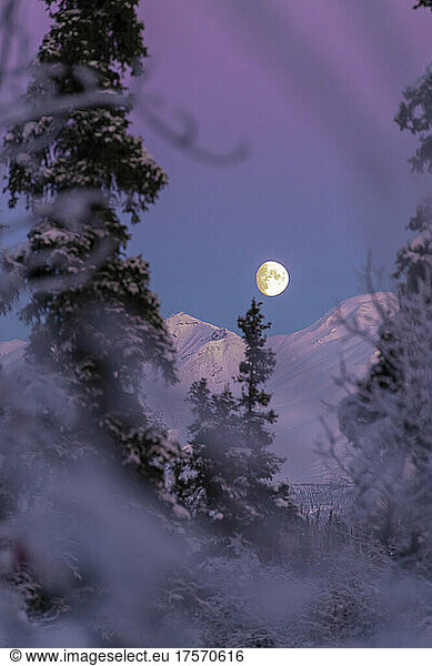 Full moon above mountains during colorful sunset in Alaska