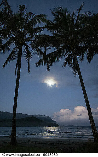 Full moon through palm trees  Hanalei Bay  Kauai