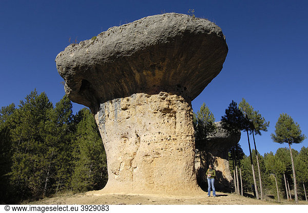 Fungus  Felsformationen  Verzauberte Stadt  La Ciudad Encantada  Provinz Cuenca  Castilla-La Mancha  Spanien  Europa