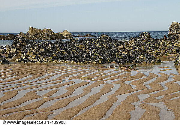 Furrows at low tide on Martin plage in Pl?rin  C?tes-d'Armor  Bretagne  France