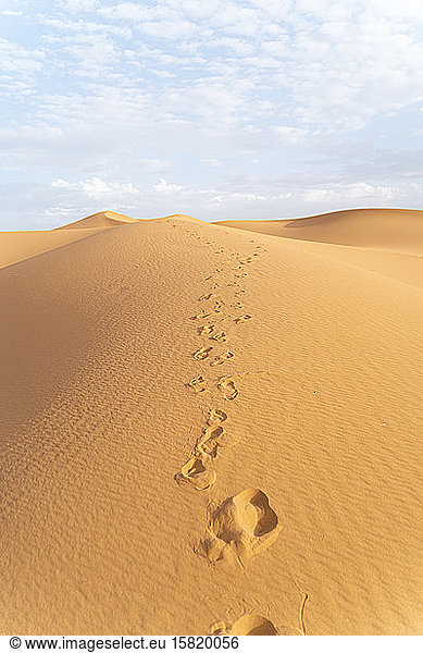 Fussspuren in Sanddünen in der Wüste Sahara  Merzouga  Marokko
